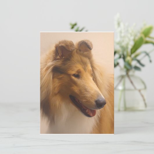 Portret van een ruige Sable Collie Bedankkaart (Staand voorkant)