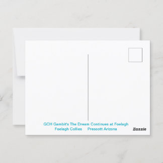 Portret van een ruige Sable Collie Briefkaart