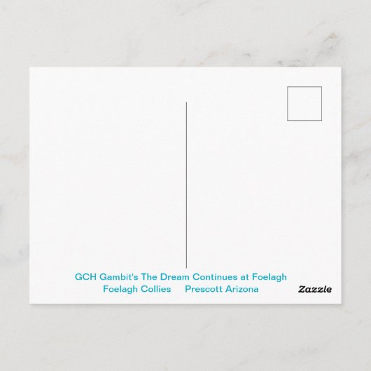 Portret van een ruige Sable Collie Briefkaart (Achterkant)