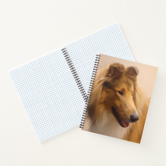 Portret van een ruige Sable Collie Notitieboek (Binnen)