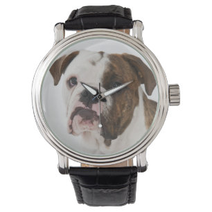 Portret van een schattige hond-pup horloge