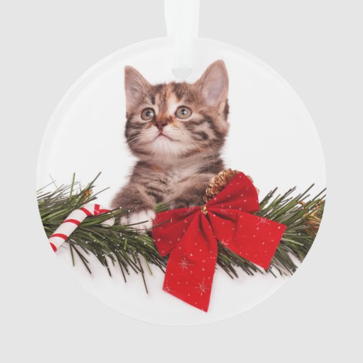 Portret van een Schattige kerstkitten Ornament (achterkant)