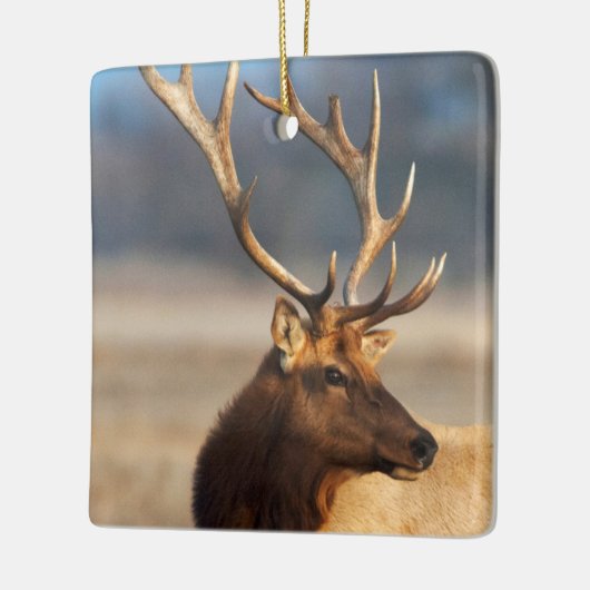 Portret van een verbluffende stier elelk keramisch ornament (Links)