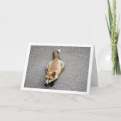 Portret van een vosje dat op de straat ligt kaart (Voorkant)