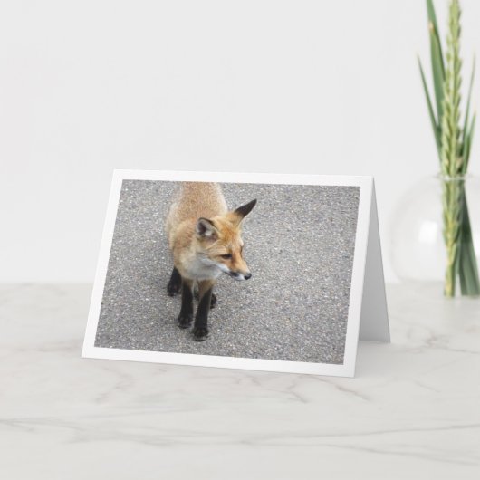 Portret van een vosjong op straat kaart (Voorkant)