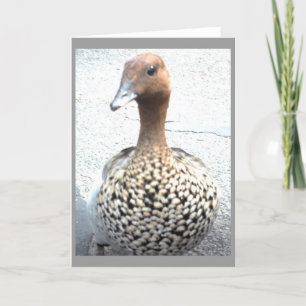 Portret van een Wenskaart Kaart