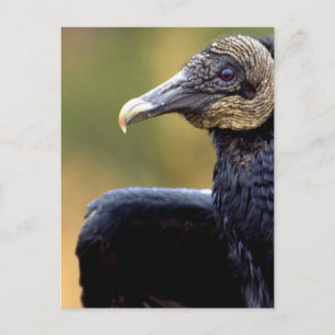 Portret van een wijnbouw briefkaart