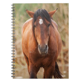Portret van een Wild Mustang Notitieboek