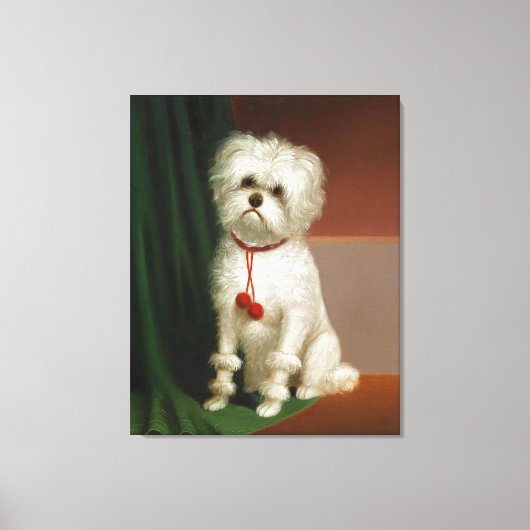  portret van een witte hond canvas afdruk (Voorkant)