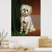  portret van een witte hond poster (Keuken)