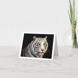 Portret van een Witte Tijger van Bengalen Kaart