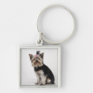 Portret van een Yorkshire Terrier-hond Sleutelhanger