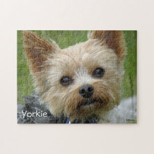 Portret van een Yorkshire Terrier Legpuzzel