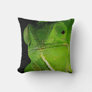 Portret van flap-necked chameleon kussen