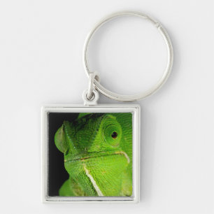 Portret van flap-necked chameleon sleutelhanger