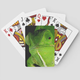 Portret van flap-necked chameleon speelkaarten
