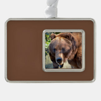 Portret van Grizzly beer Briefkaart Square Sticker Verzilverd Kader Ornament