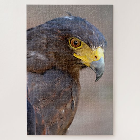 Portret van Harris Hawk Briefkaart Legpuzzel (Verticaal)