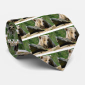 Portret van het beer van Grizzly Stropdas (Opgerold)