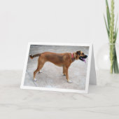 Portret van hond kaart (Voorkant)