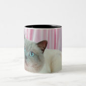 Portret van kat 4 tweekleurige koffiemok (Center)