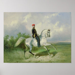 Portret van keizer Alexander II 1876 Poster