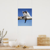 Portret van Kitten Poster (Keuken)