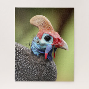Portret van kleurrijk Guinee-Fowl Legpuzzel