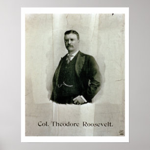 Portret van kolonel Theodore Roosevelt (litho) Poster