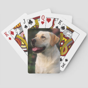 Portret van Labrador Retriever, Hilton Pokerkaarten