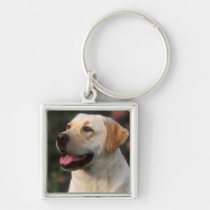 Portret van Labrador Retriever, Hilton Sleutelhanger