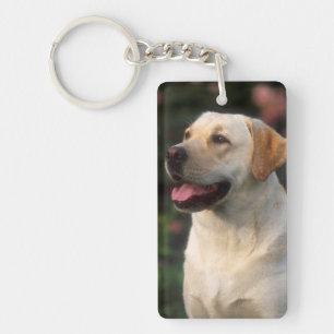 Portret van Labrador Retriever, Hilton Sleutelhanger