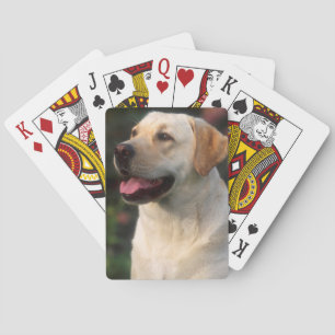 Portret van Labrador Retriever, Hilton Speelkaarten