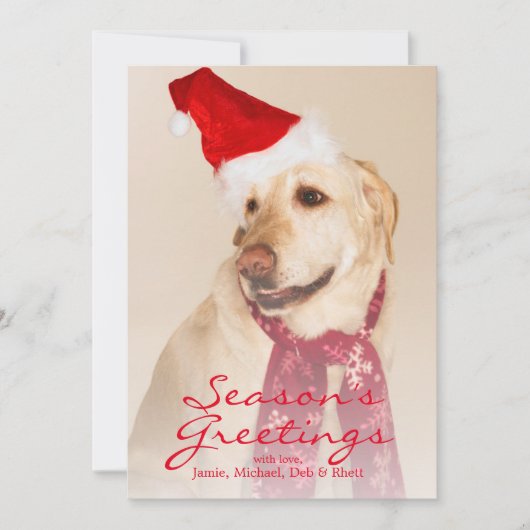 Portret van Labradors retriever met kerstmuts Feestdagenkaart (Voorkant)