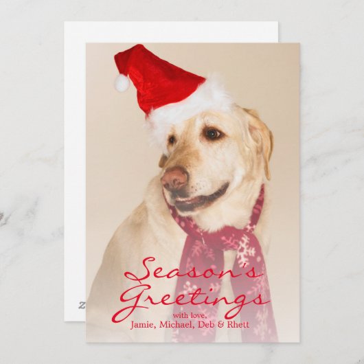 Portret van Labradors retriever met kerstmuts Feestdagenkaart (Voorkant / Achterkant)