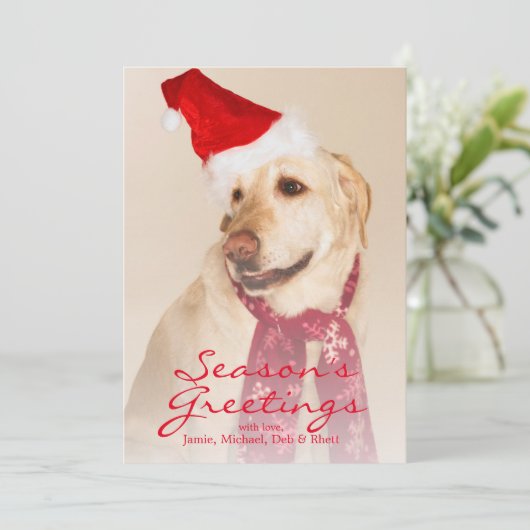 Portret van Labradors retriever met kerstmuts Feestdagenkaart (Staand voorkant)