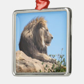 Portret van leeuw gezien uit profiel metalen ornament (Links)
