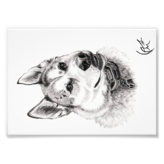 Portret van Lugh Foto Afdruk