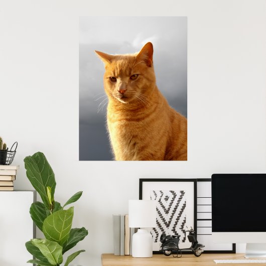 Portret van Merlin de gemberkat Poster (Thuiskantoor)