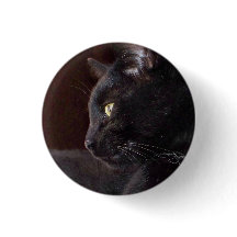 Portret van mijn jongen, Charlie Button