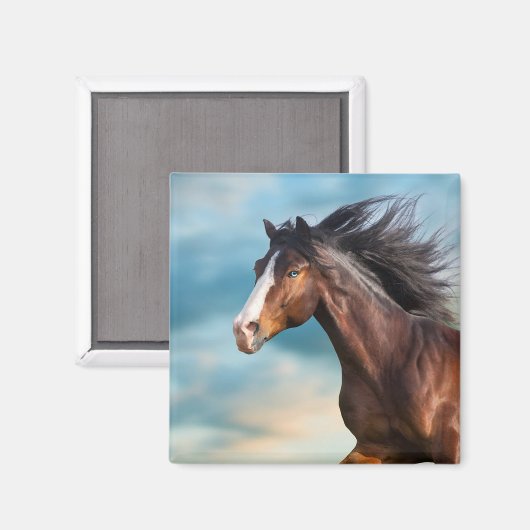 Portret van mooi paard met lange manen magneet (Voorkant / Achterkant)