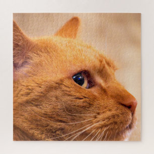 Portret van nieuwsgierige oranje tabbykat Natuurfo Legpuzzel