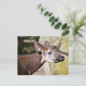 Portret van Okapi Briefkaart (Staand voorkant)