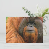 Portret van orang-oetan mannetje, Georgia, USA Bedankkaart (Staand voorkant)
