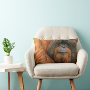 Portret van orang-oetan mannetje, Georgia, USA Kussen