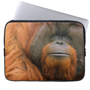 Portret van orang-oetan mannetje, Georgia, USA Laptop Sleeve