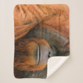 Portret van orang-oetan mannetje, Georgia, USA Sherpa Deken (Voorkant)