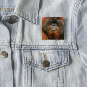 Portret van orang-oetan mannetje, Georgia, VS Vierkante Button 5,1 Cm