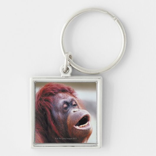 Portret van orangutaan sleutelhanger (Voorkant)