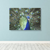 Portret van Peacock met veren uit Canvas Afdruk (Insitu (Houten vloer))